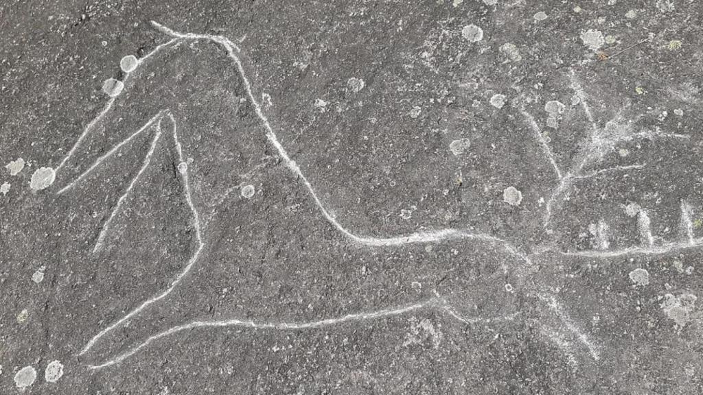Los petroglifos de Campo Lameiro (Pontevedra) aparecen dañados por vándalos
