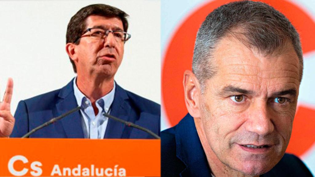 El líder de Cs en Andalucía, Juan Marín, y el exdiputado de Cs, Toni Cantó.