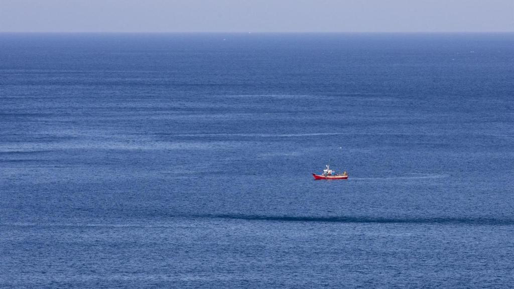 Barco pesca pesquero mar