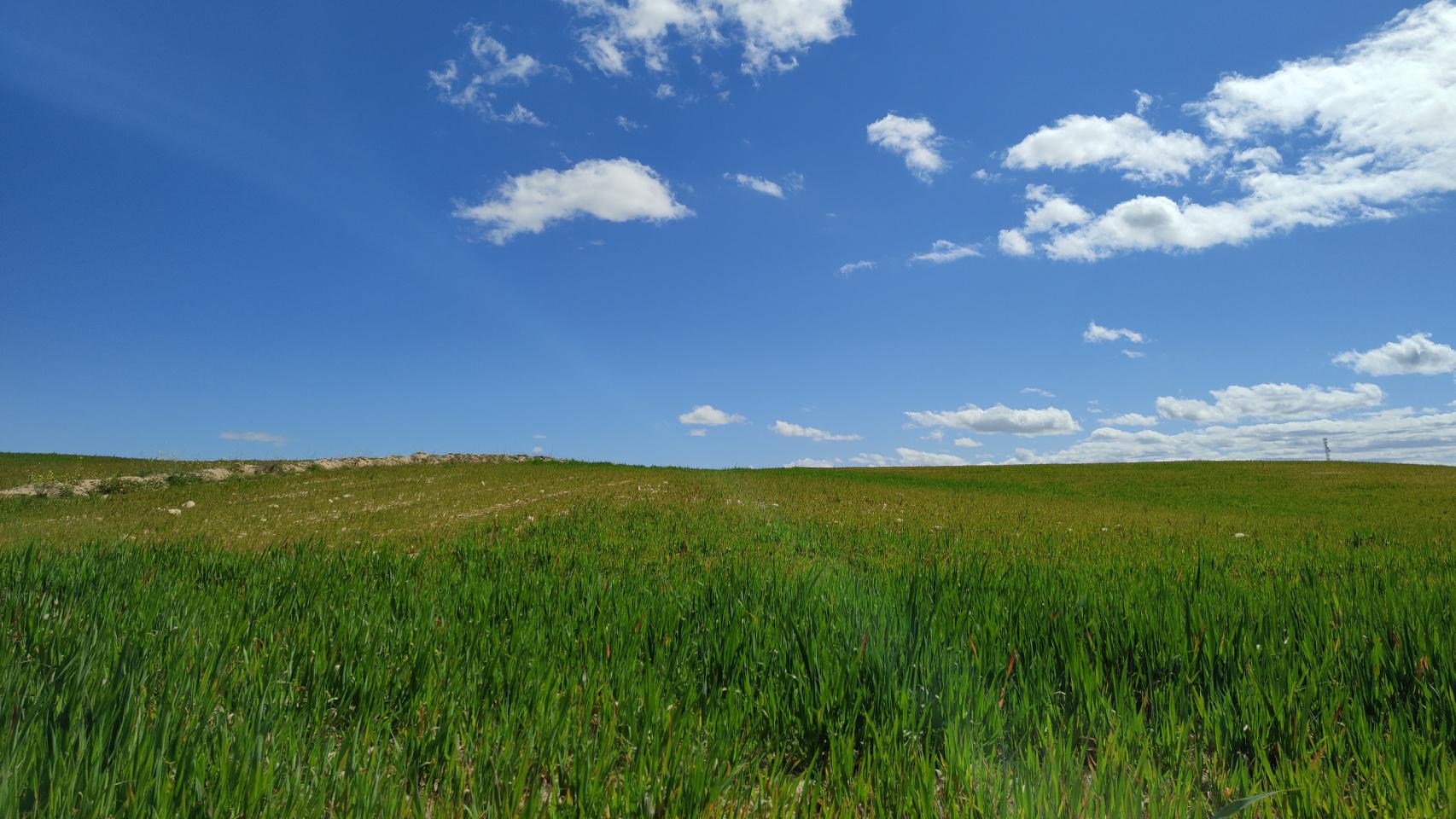 Probamos las cámaras del Realme 8 Pro