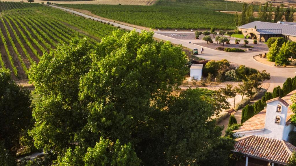 Bodega Finca Río Negro en Cogolludo (Guadalajara).