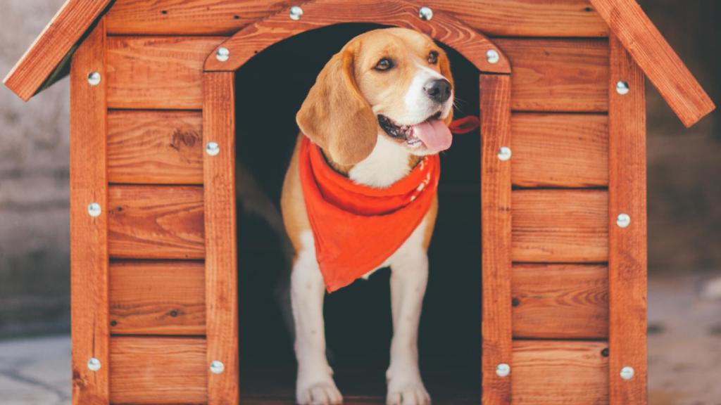 Los perros dejaran de ser bienes inmuebles en el Código Civil.