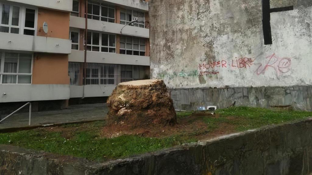 Palmera talada en el Barrio de las Flores.