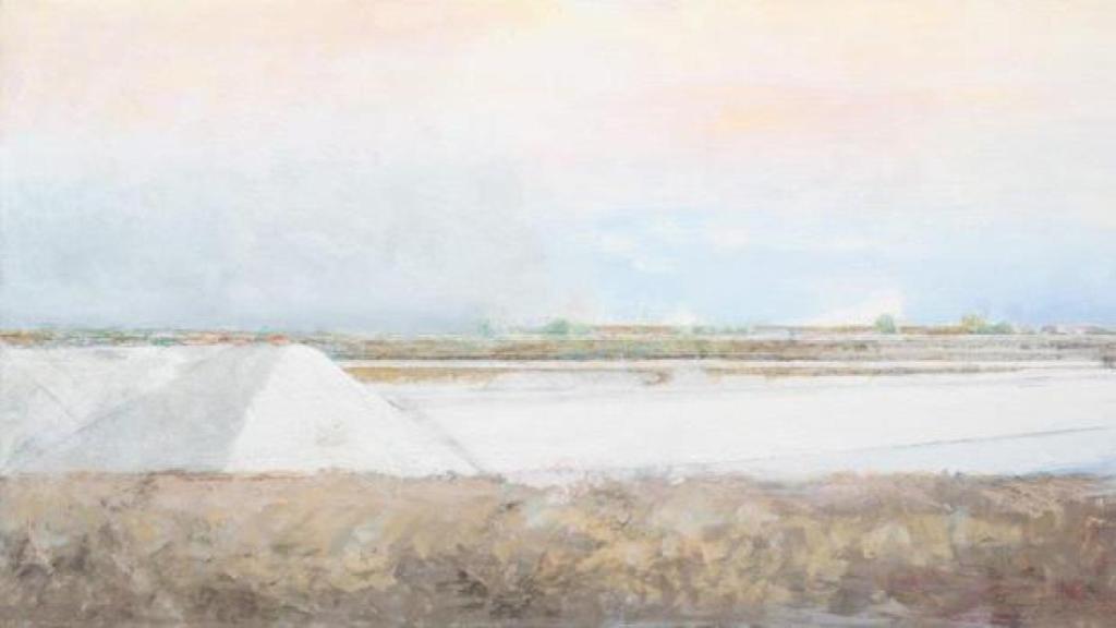 Uno de los cuadros de Carmen Laffon en la serie La sal.