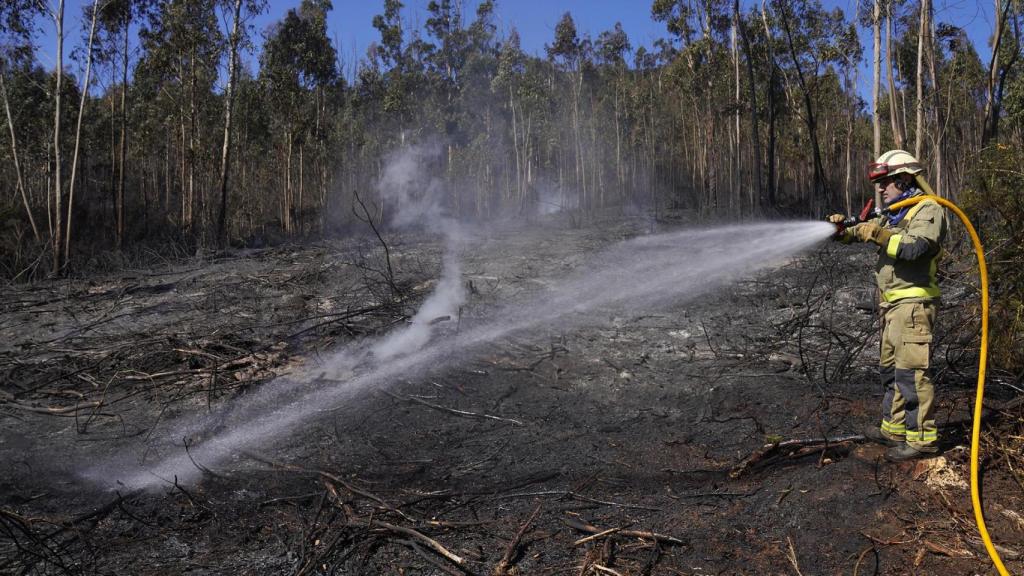 Un bombero apaga un incendio forestal en una imagen de archivo.