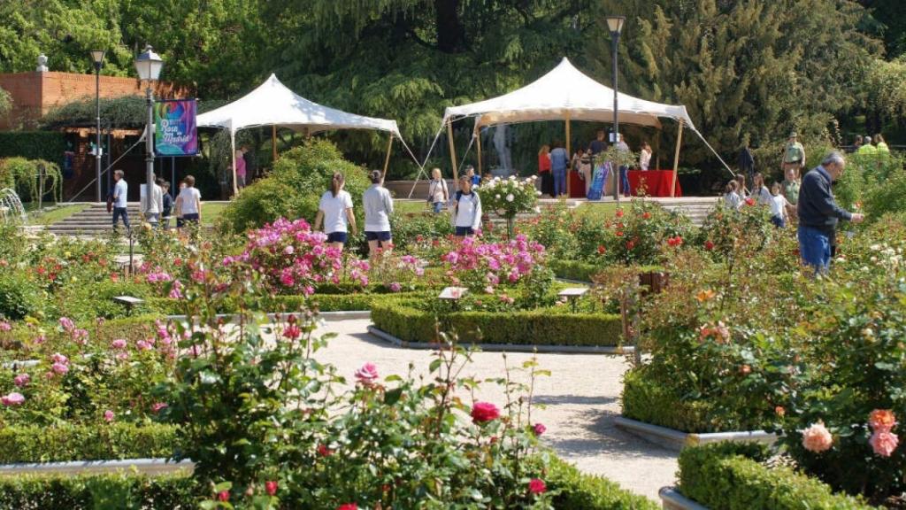 La rosaleda del Parque del Oeste de Madrid