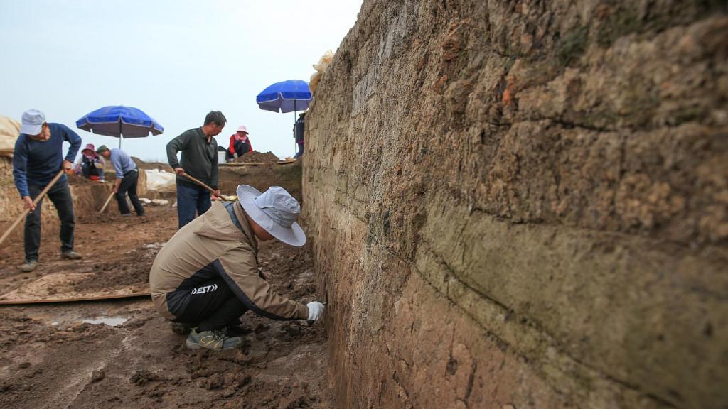Fotografía del muro excavado.