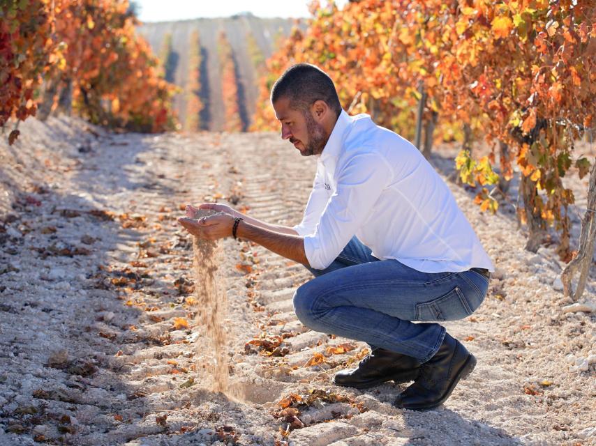Vicente Pliego en el viñedo.