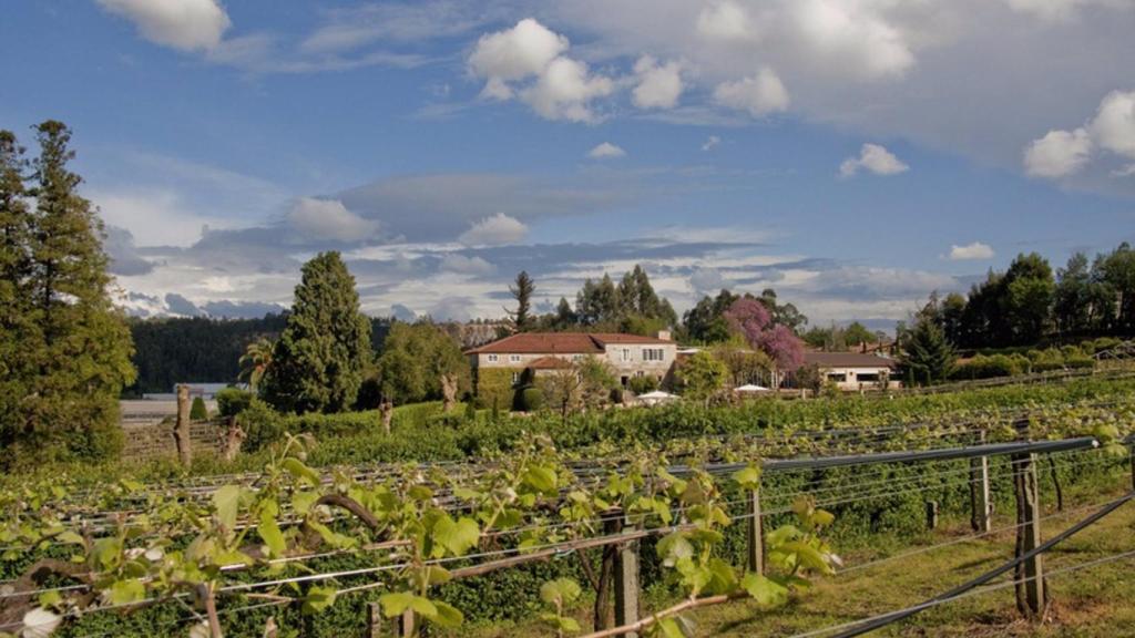 Bodega de Pazo Señorans, en la DO Rías Baixas.