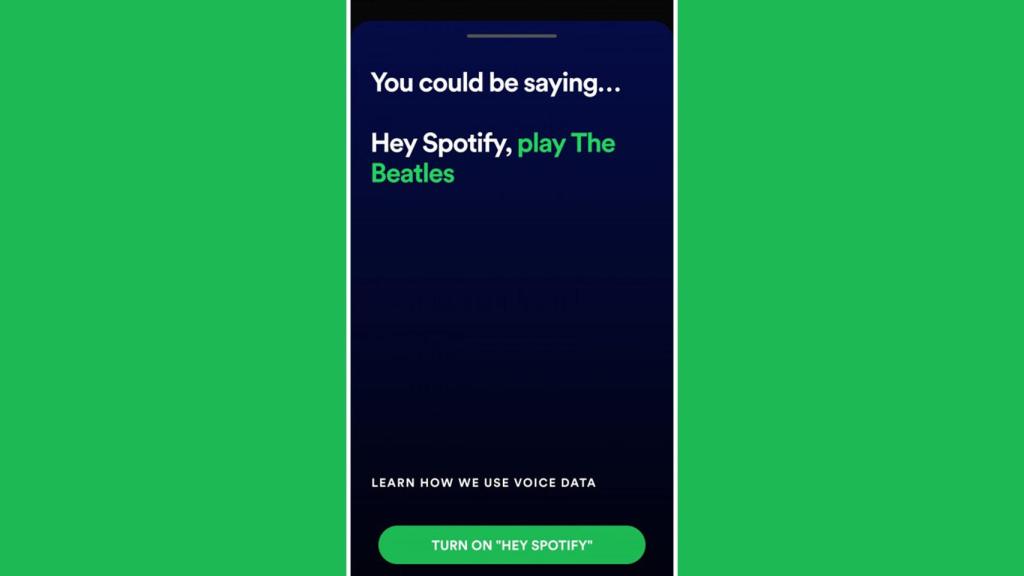 Capturas de Spotify y su asistente.