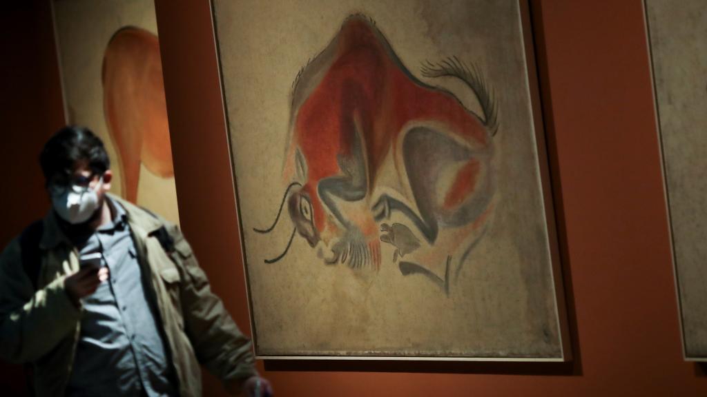 Vista de otro de los cuadros sobre los bisontes de Altamira.