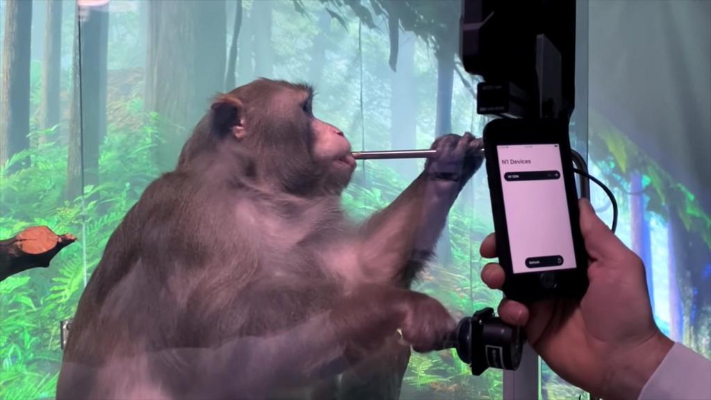 Neuralink probando  su chip.