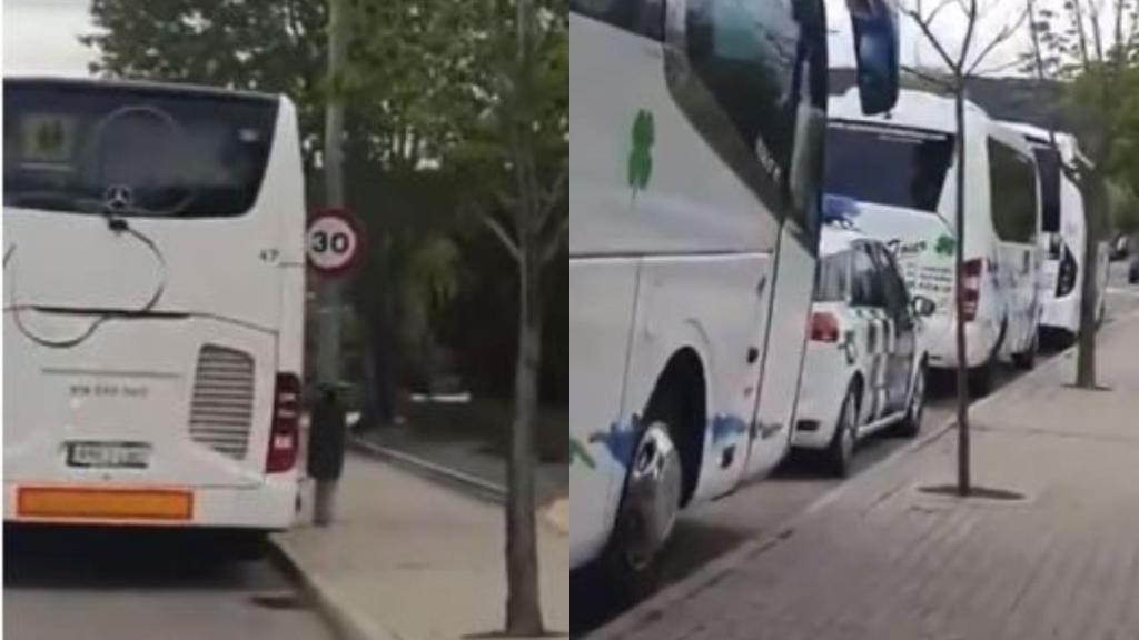 Imágenes del vídeo compartido por un vecino de Las Rozas.