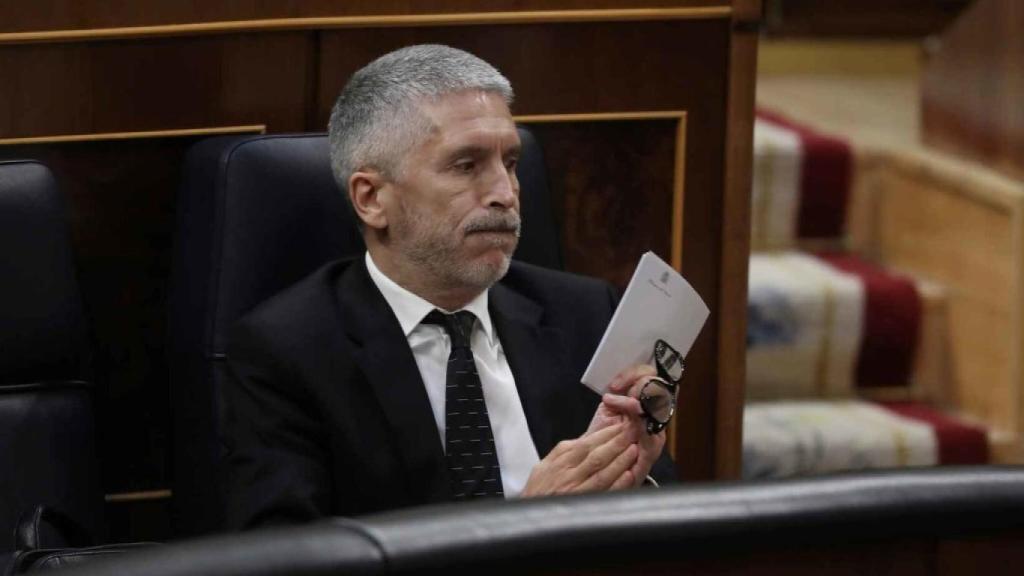 El ministro, en el Congreso de los Diputados.