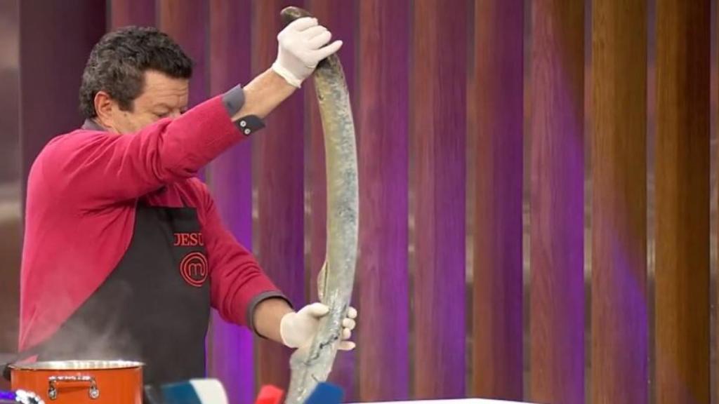 La lamprea suele alcanzar el metro de longitud.