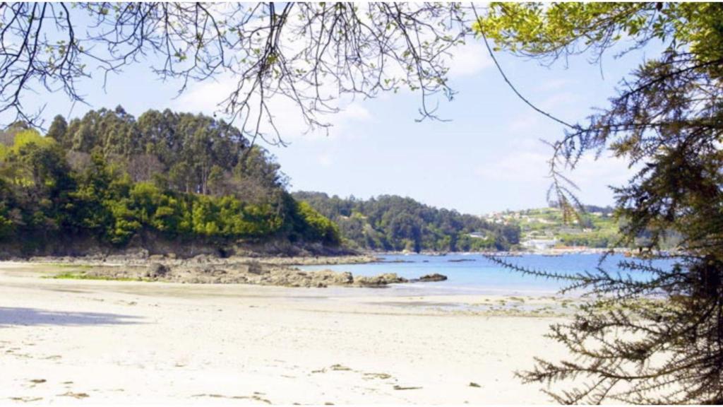 Playa de San Pedro (Sada).