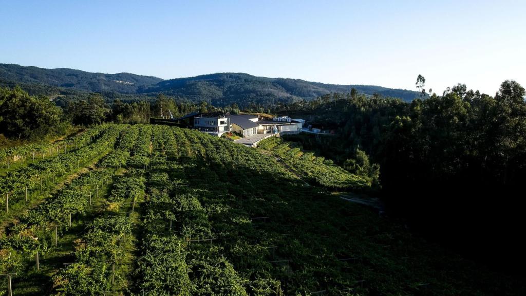 Bodega Mar de Frades.