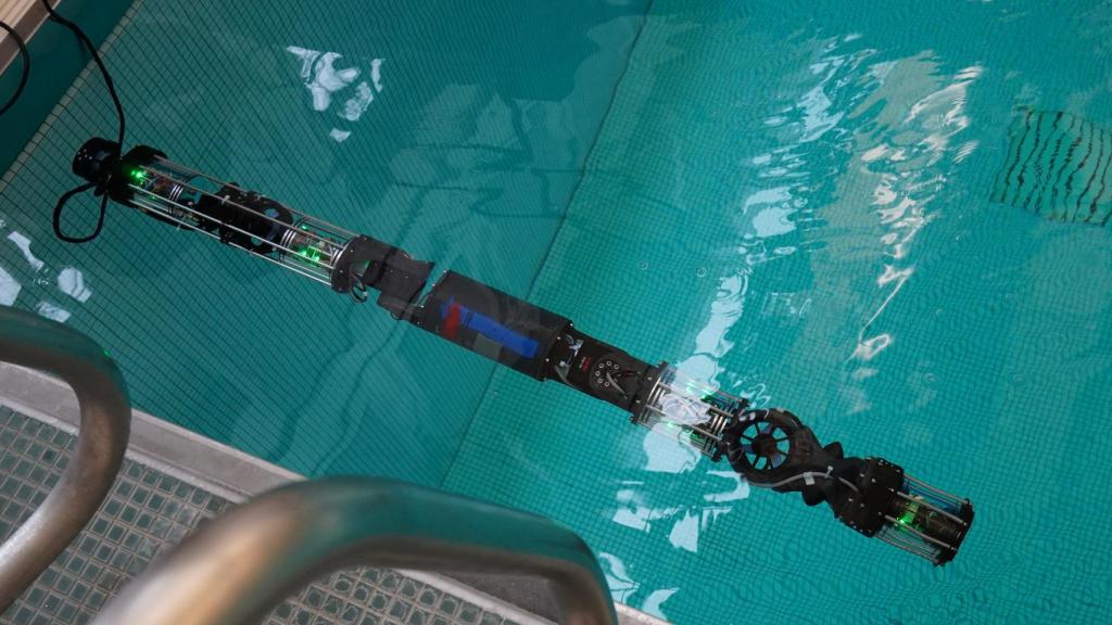 Robot con forma de serptiente