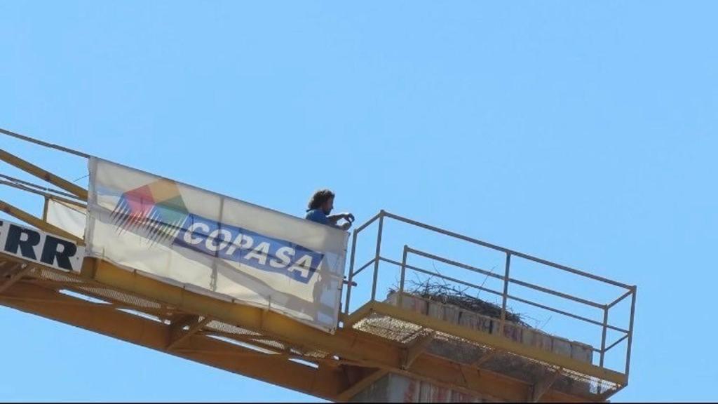 Nido de cigüeñas en Ourense.Amigas das Cigoñas y Ecoloxistas en Acción solicitan a la Consellería de Medio Ambiente que proteja a una pareja de cigüeñas blancas que anidó en una grúa de la constructora Copasa en Ourense.ESPAÑA EUROPA GALICIA SOCIEDADECOLOXISTAS EN ACCIÓN