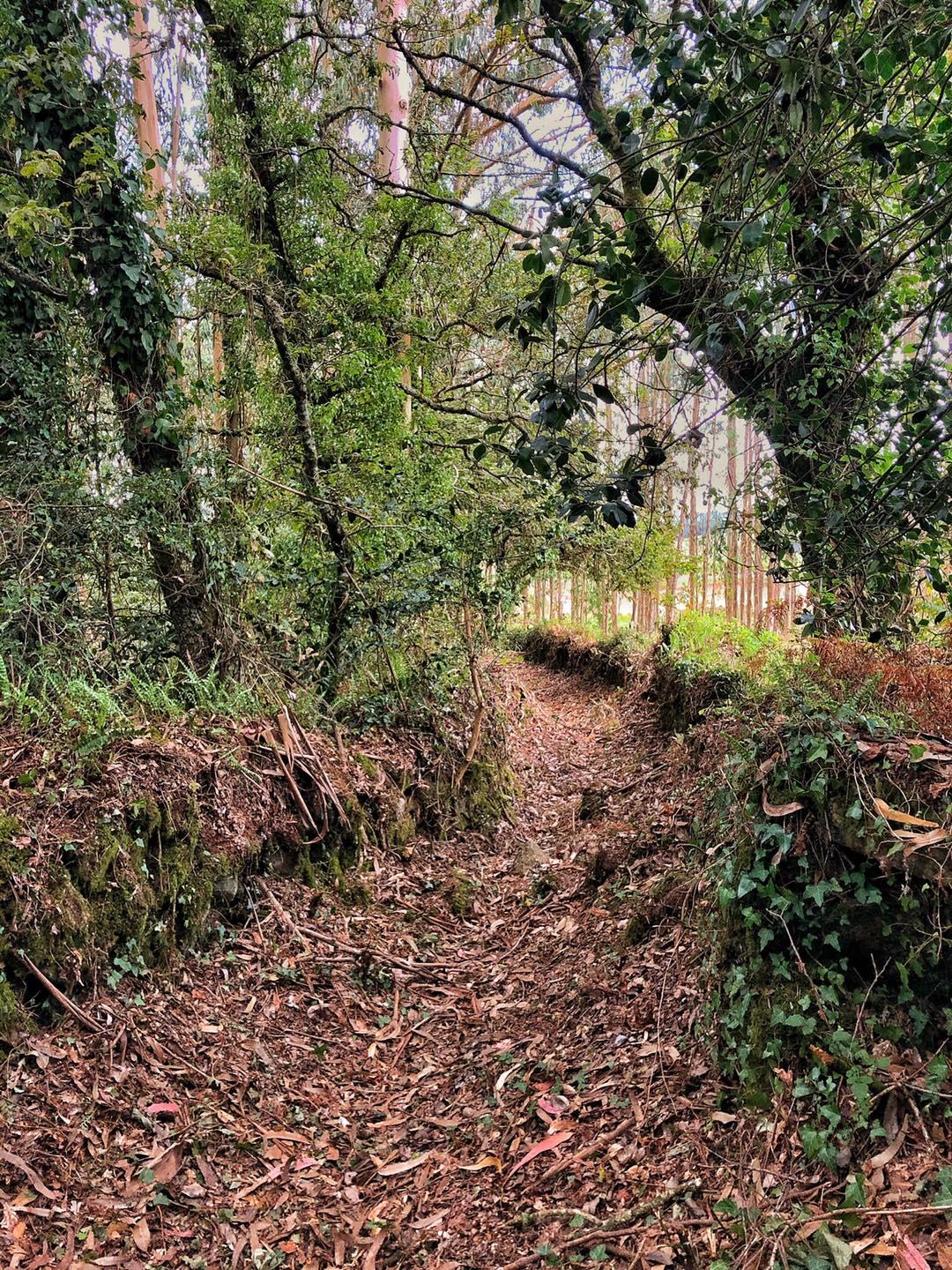 Ruta da Auga (Foto: concellodezas.org)