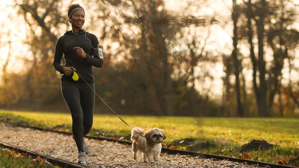 Disfruta de largos y cómodos paseos con las correas para perro más populares de Amazon