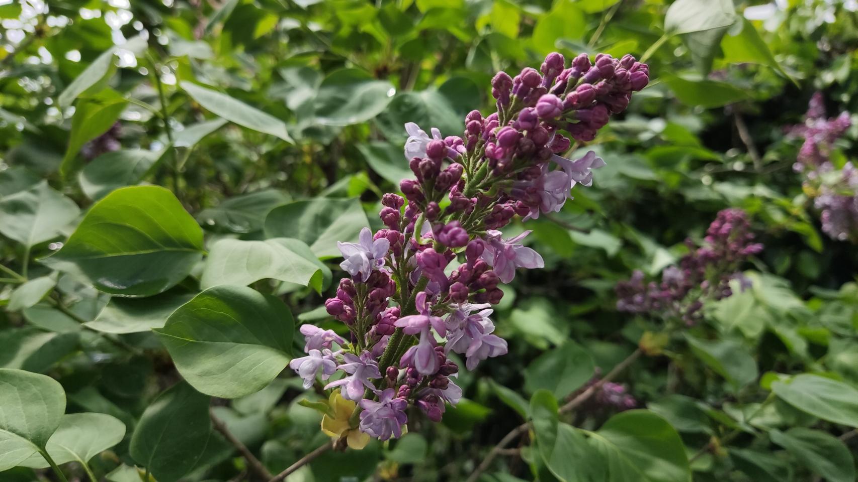 Probamos la cámara del Poco F3