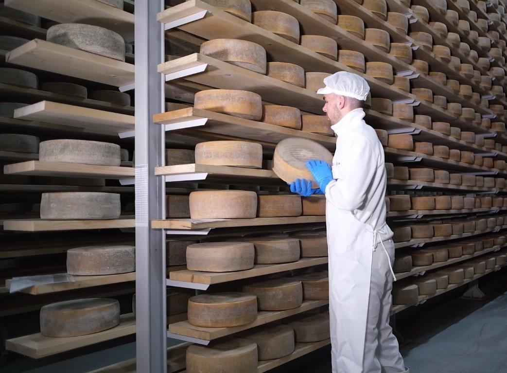 Un operario voltea los quesos Galmesano en la sala de maduración (Cedida).