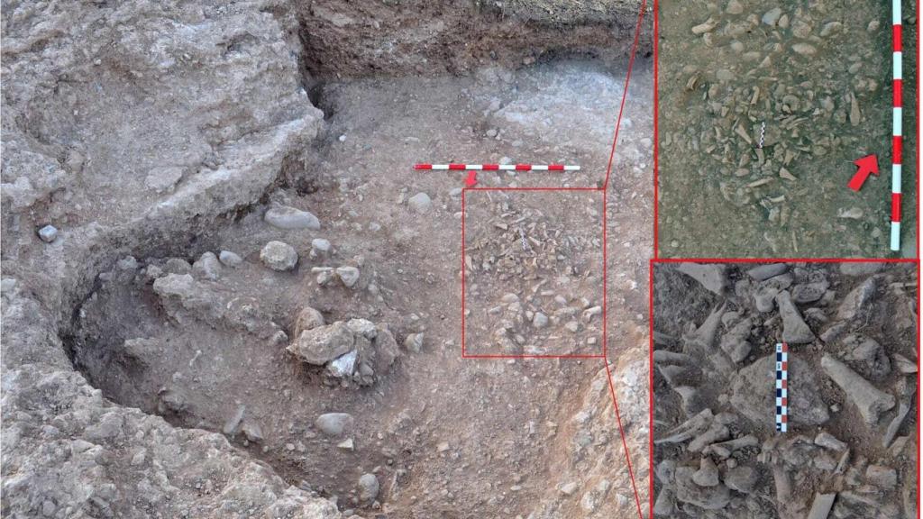 Excavaciones en el basurero del siglo XVI.