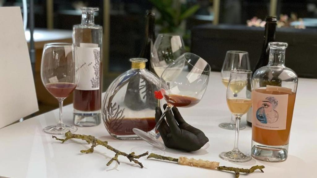 Éxodo Marino de Sandra García, parte 2