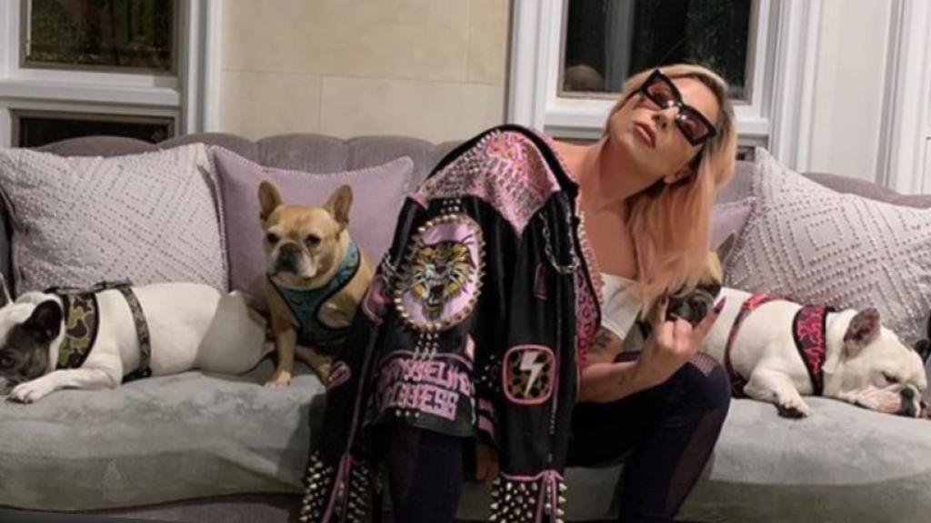 Lady Gaga junto a tres de sus perros.