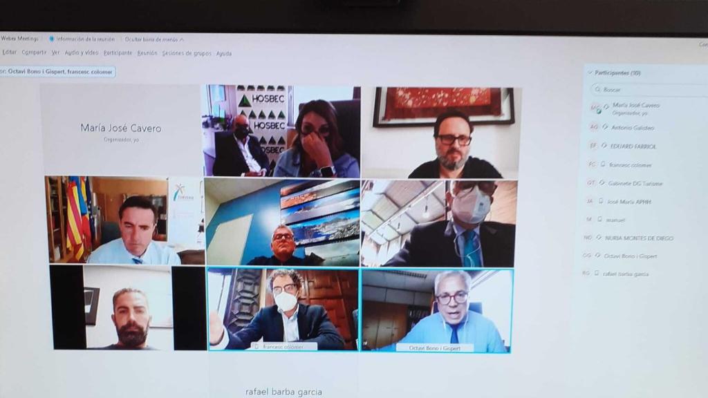 Imagen de la reunión telemática.