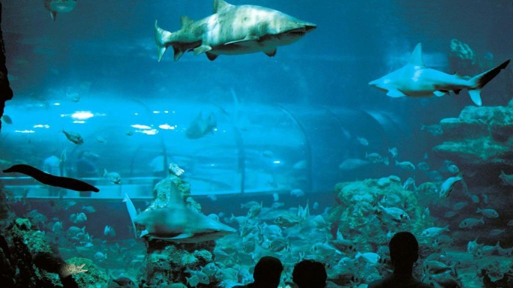 Aquarium de Barcelona