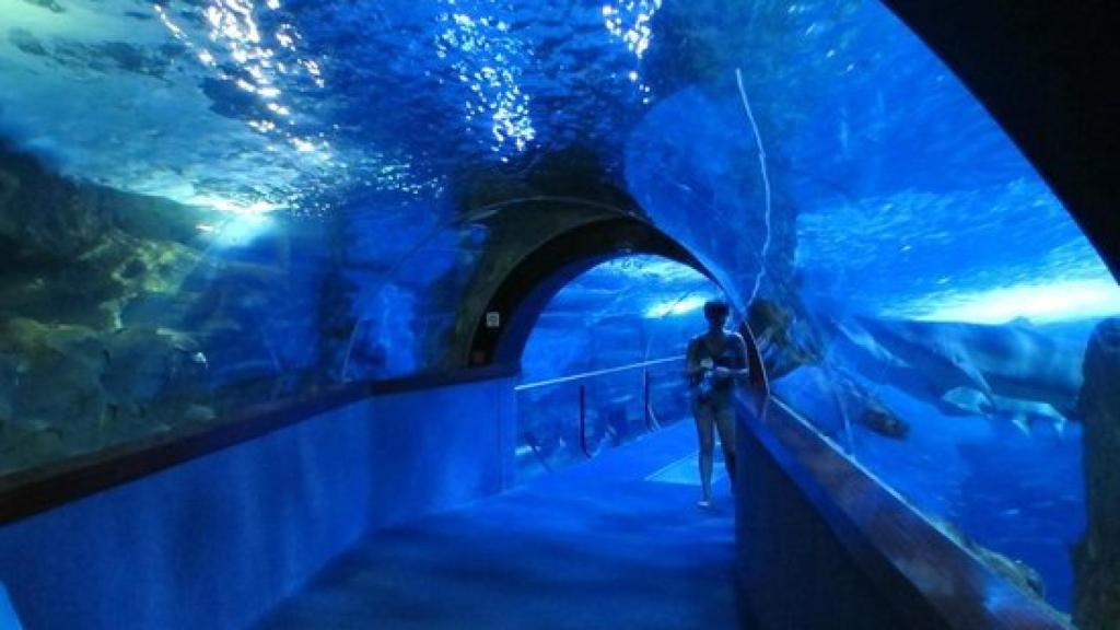Aquarium de San Sebastián
