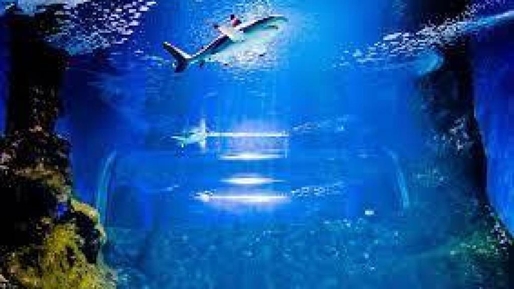 Acuario de Lanzarote