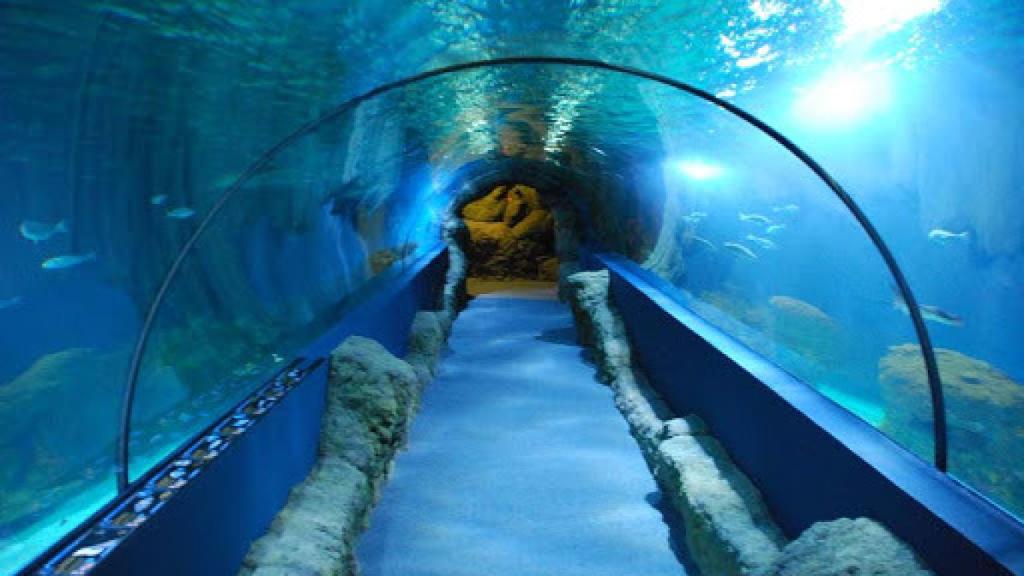 Acuario de Almuñécar