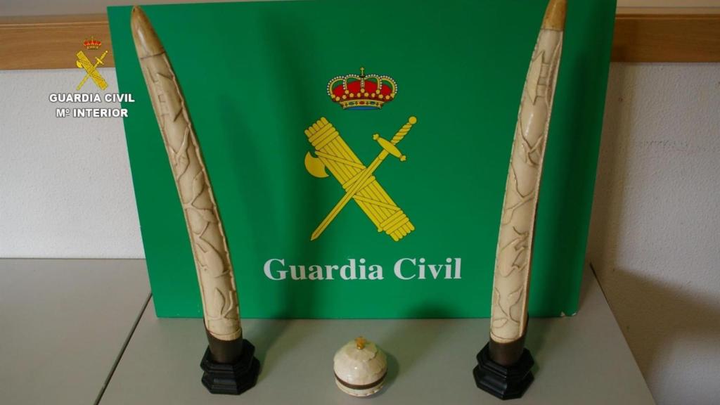 Colmillos de elefante y copón esférico intervenidos