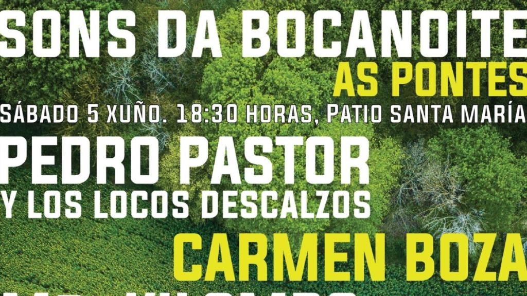 Parte del cartel del festival Sons da Bocanoite.
