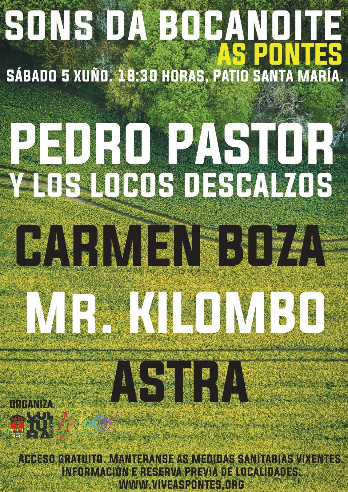 Cartel del festival Sons da Bocanoite (Concello das Pontes).