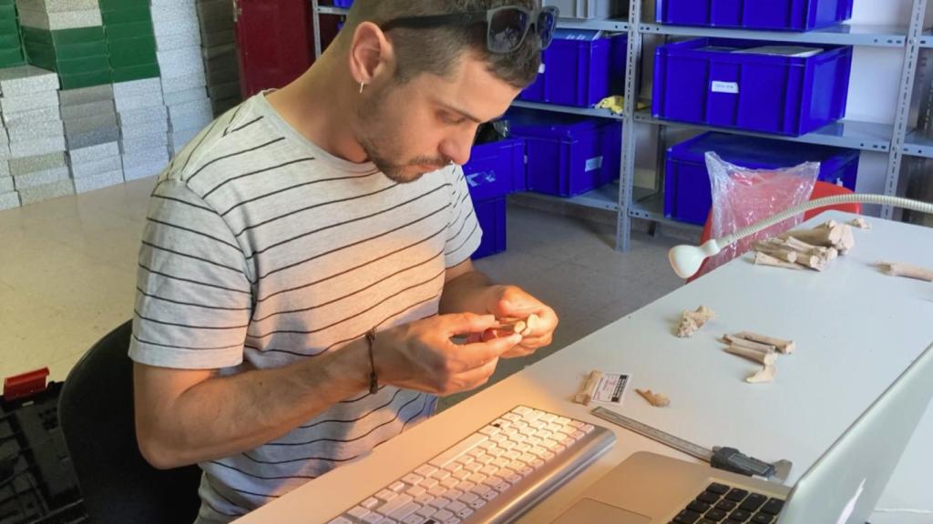 El arqueólogo Marcos García, estudiando restos de animales.