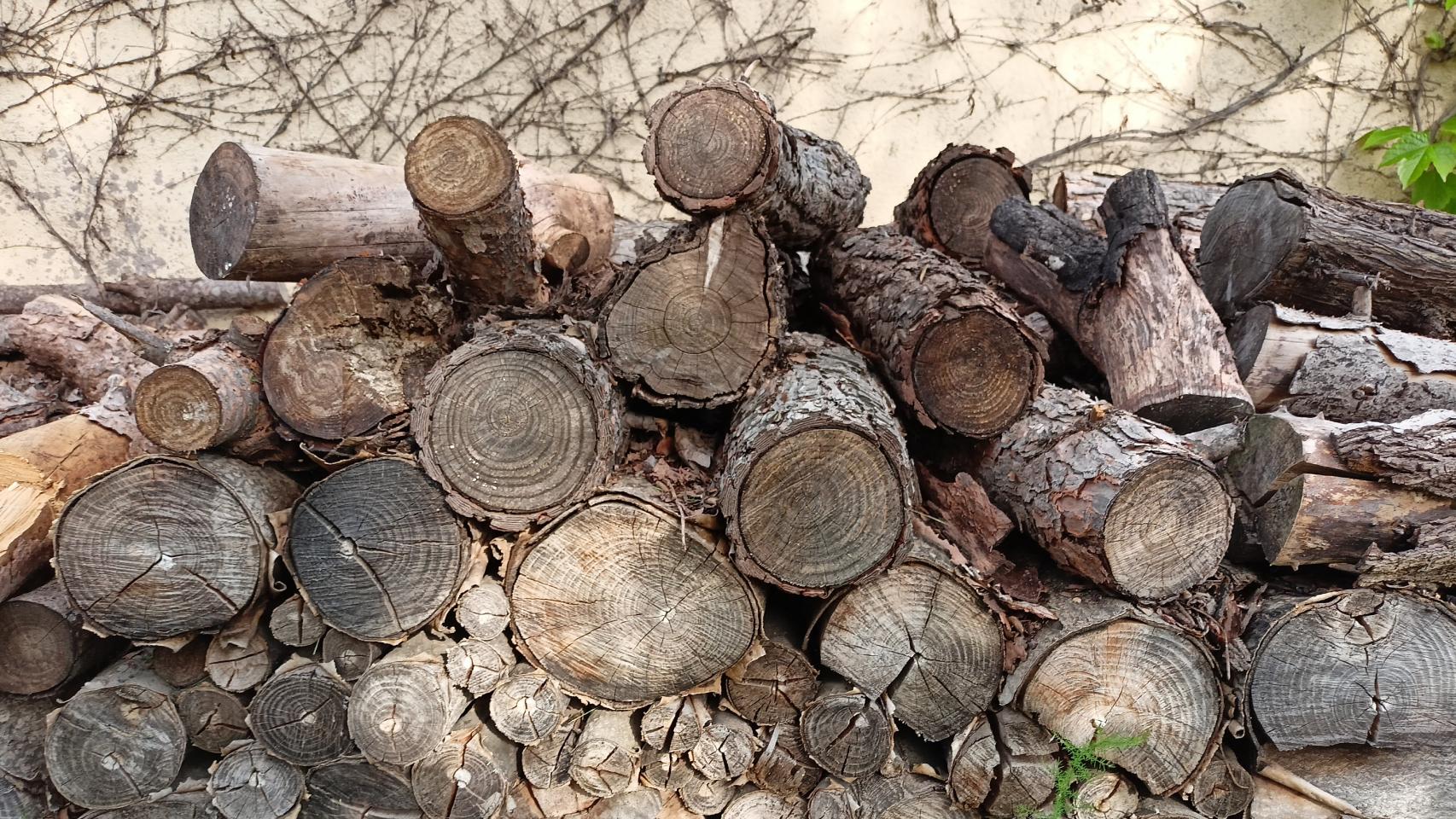 Fotografía con las cámaras del Realme 8 5G.