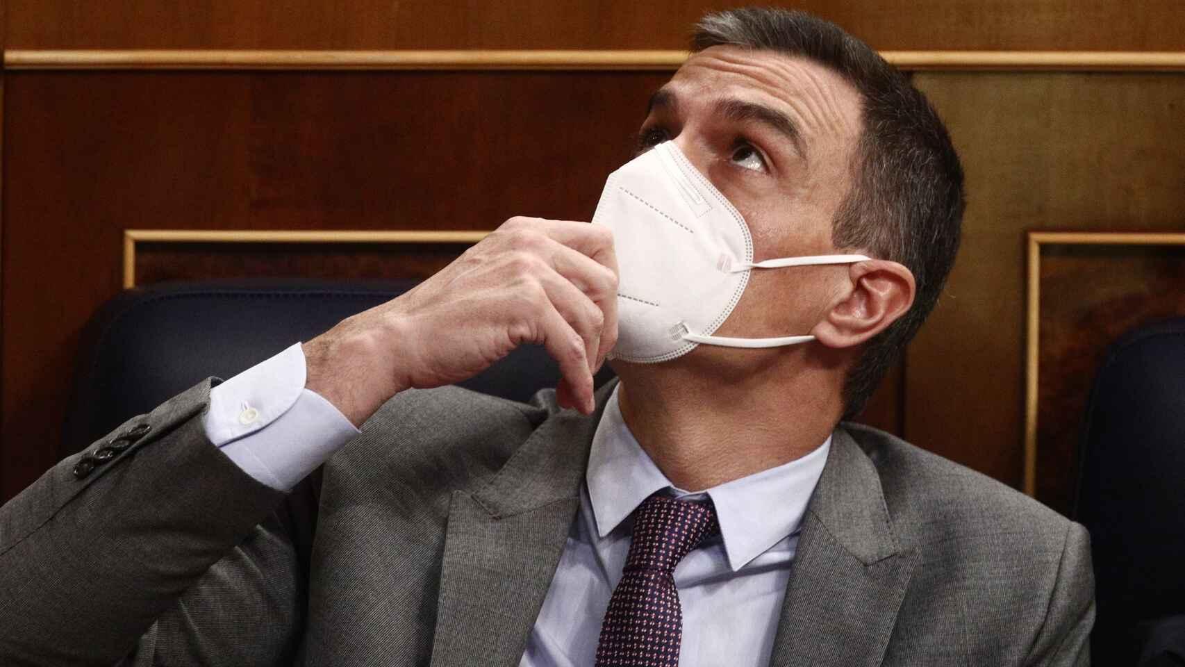 Pedro Sánchez, en el Congreso de los Diputados.