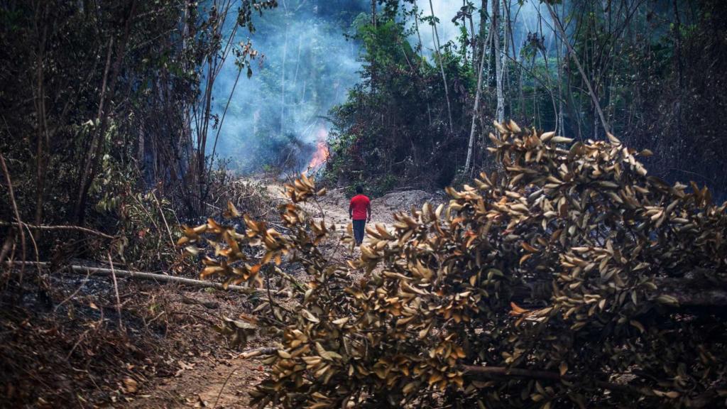 Los pueblos indígenas de la Amazonía defienden la protección de la tierra