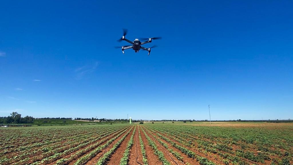 La primera finca agrícola de Bayer en España ubicada en Carmona (Sevilla)