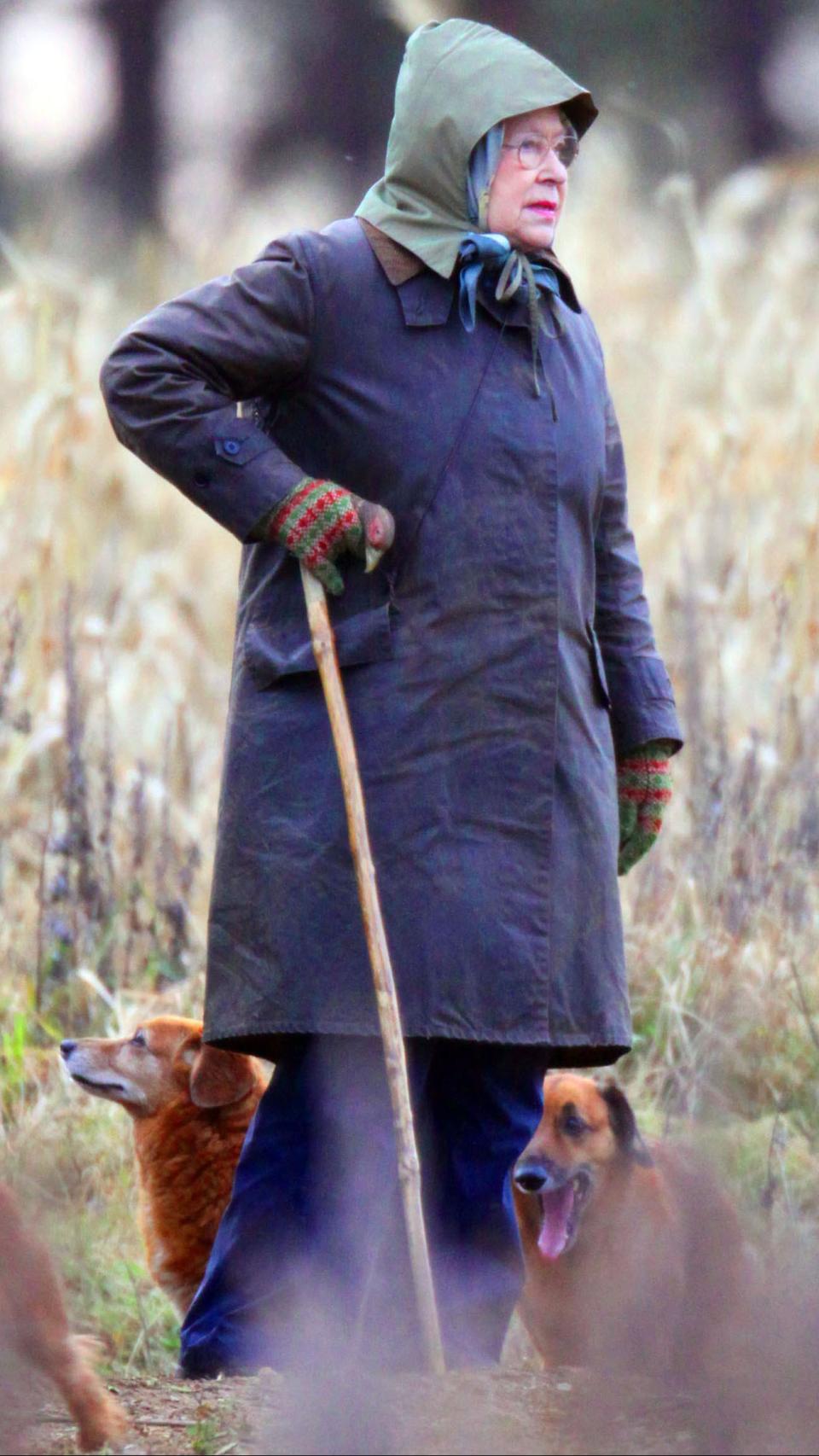 La reina Isabel con algunas de sus mascotas.