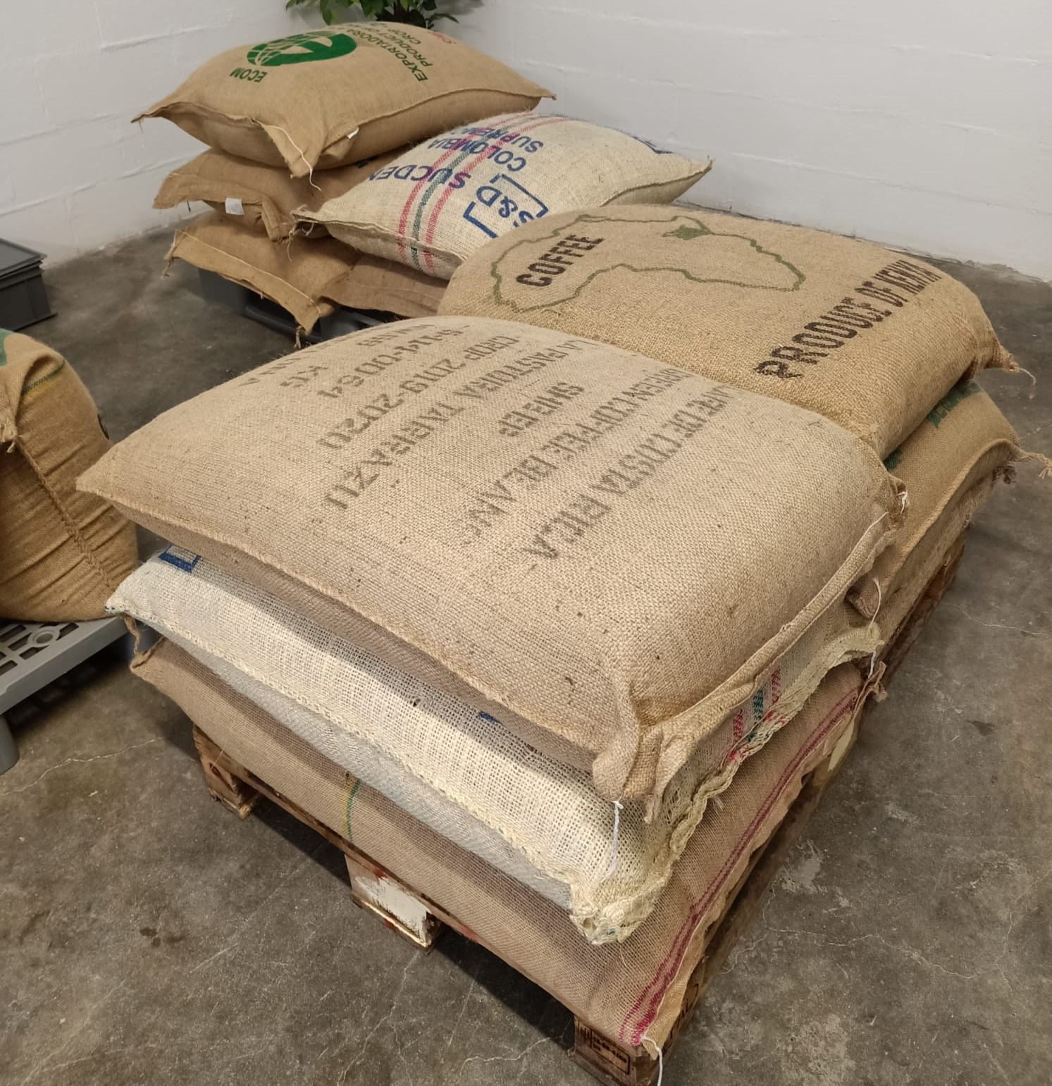 ‘El Club del Café’ trabaja con variedades de Kenia, Brasil o Colombia, entre otros (Cedida)