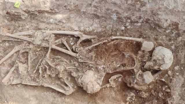 Una de las tumbas halladas en el CEIP Jaume I.