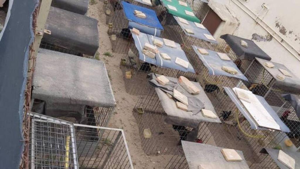 Foto: Policía Local de Valencia