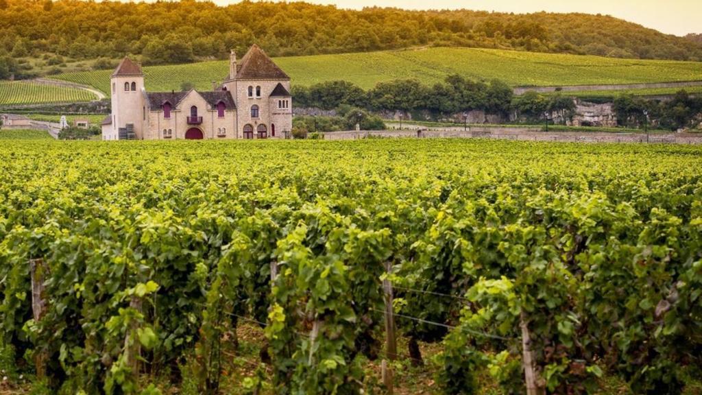 Bodega en la Borgoña.