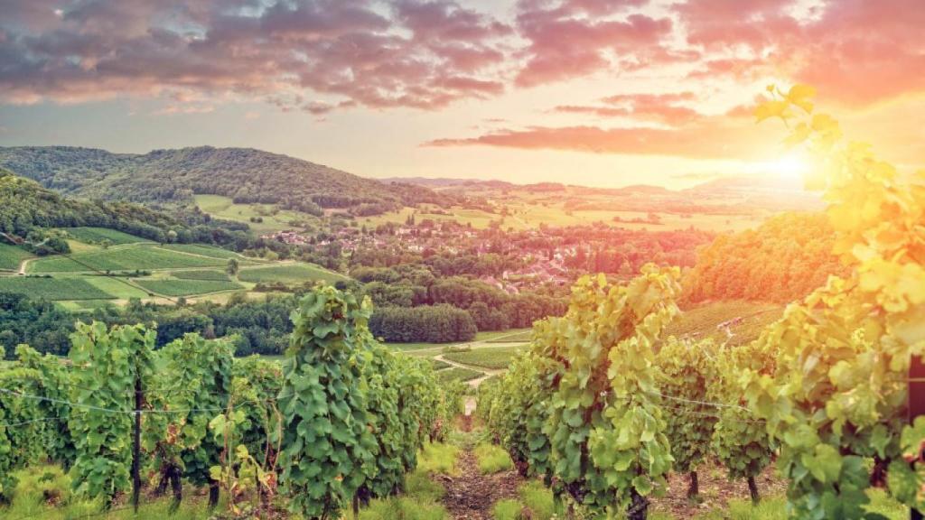 Puesta de sol en Borgoña.