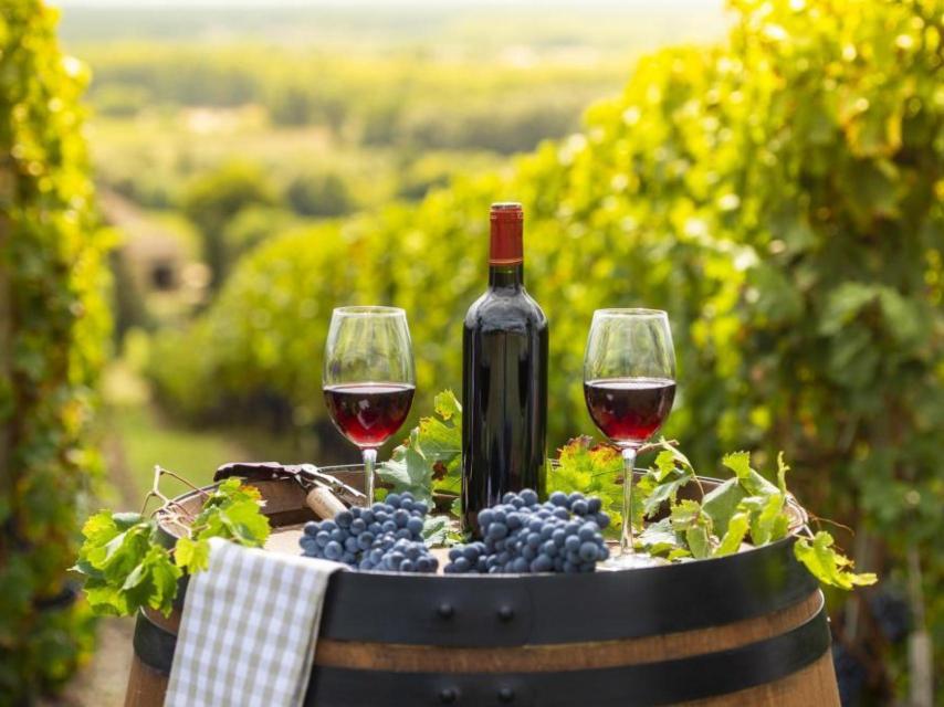 Cata de cabernet en Burdeos.